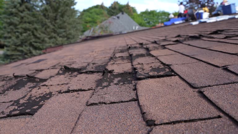 Best Roof Ventilation Installation  in Williamson, AZ