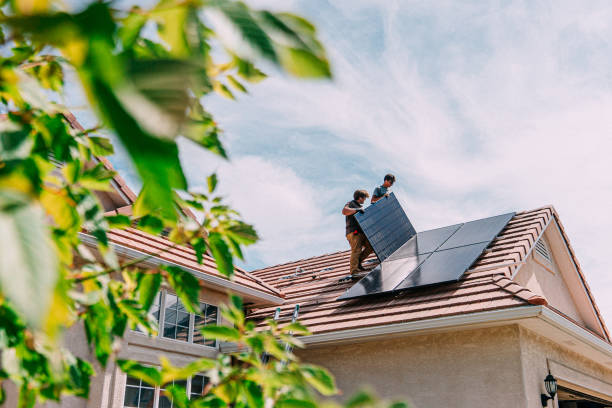 Best Roof Moss and Algae Removal  in Williamson, AZ