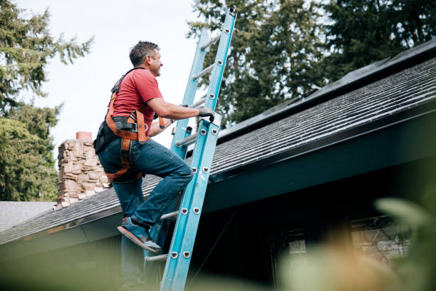 Best Gutter Installation and Repair  in Williamson, AZ