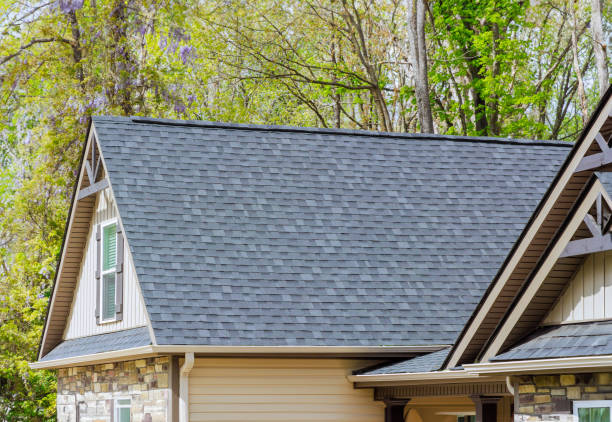 Best Gutter Installation and Repair  in Williamson, AZ
