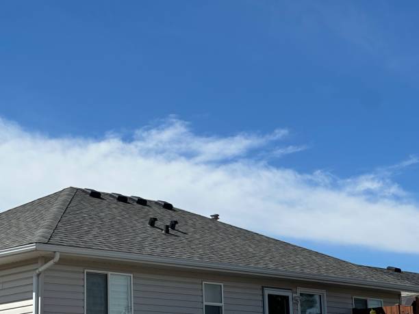 Best Roof Coating and Sealing  in Williamson, AZ